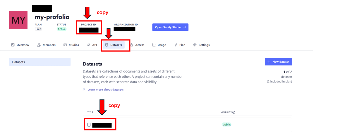 Copy Project ID and Dataset