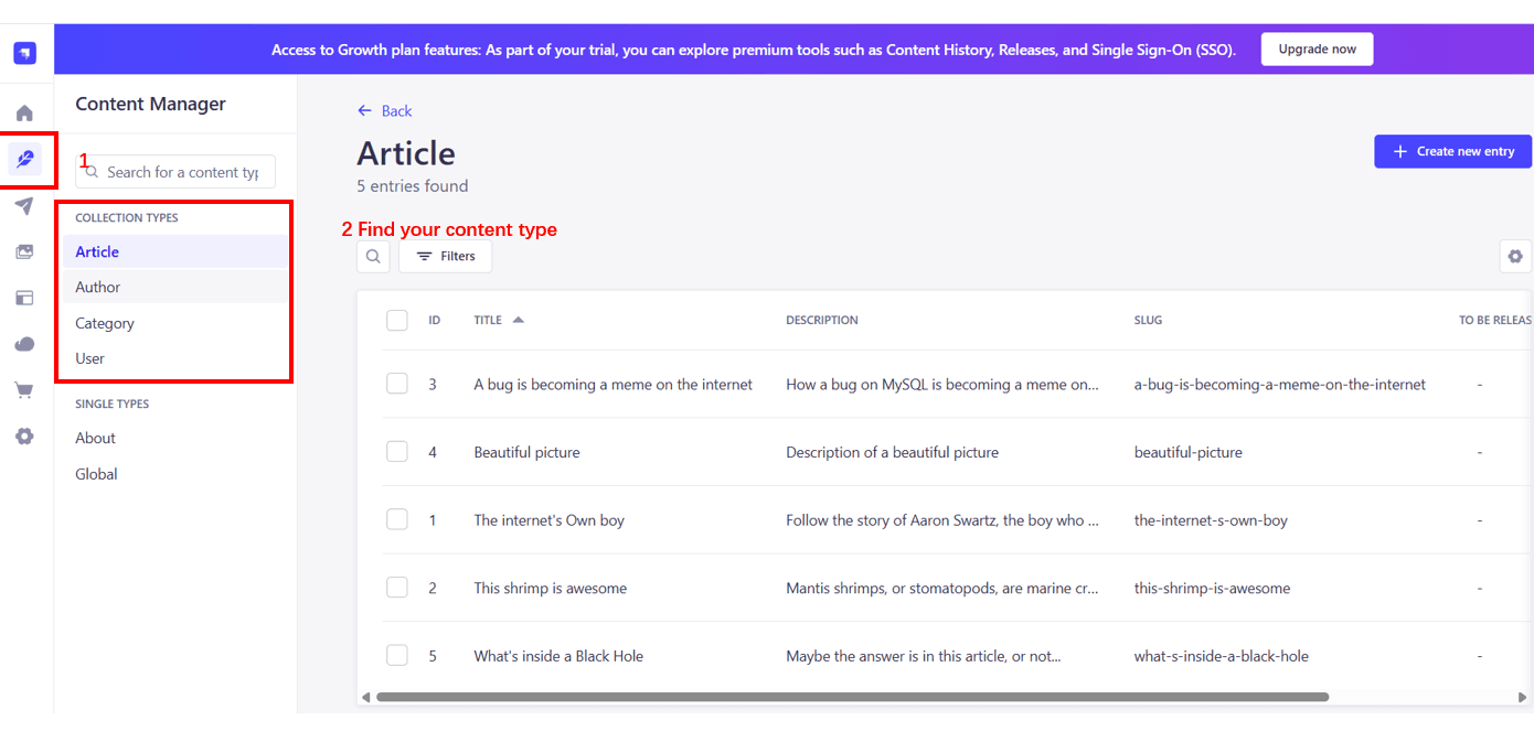 Find Strapi Content Type
