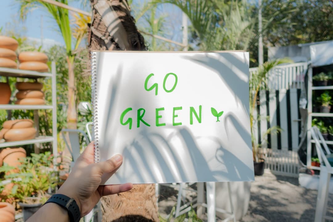 Eco-friendly packaging, carbon-neutral shipping labels, and sustainable product displays in modern e-commerce